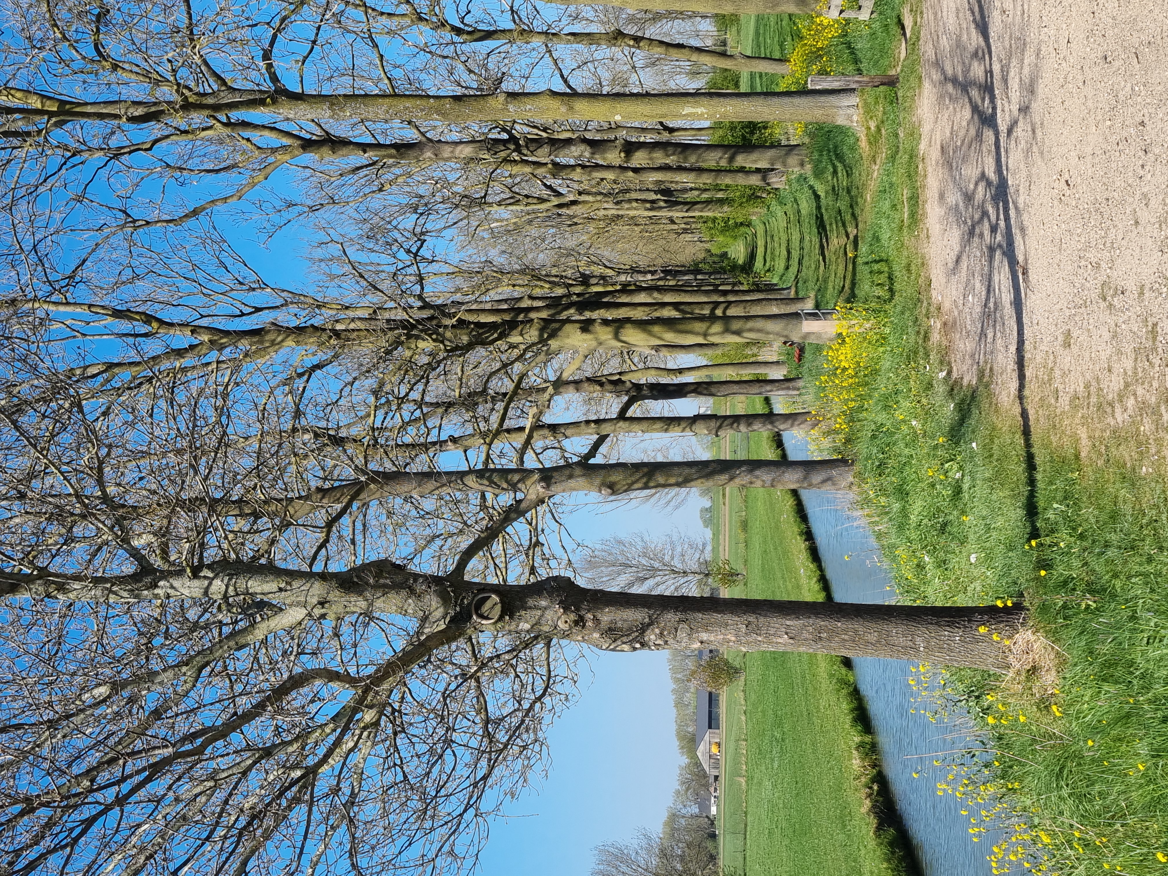 Culemborg 2